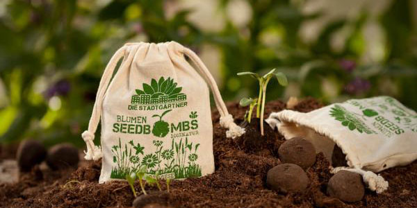 Frische Ideen für den Frühling