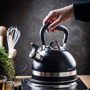 Klassischer Wasserkessel (1,8L, matt-schwarz) - Edelstahl, rostfrei & kratzfest - für alle Herdarten - Elegant + hochwertig