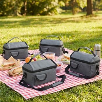 4er-Set Mini-Kühltasche, faltbar, 6l: Hält Snacks & Getränke frisch – Ideal für Picknick & Büro – Kompakt, leicht & auslaufsicher