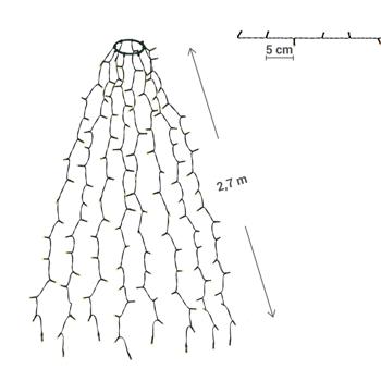 Preview: Strahlende 320 LEDs Lichterkette Warmweiss 2,7m – Für Aussen & Innen, IP44 – Überwurf-Lichterkette für Weihnachtsbaum 