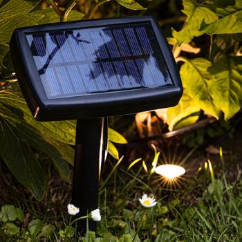 Preview: LED Solar Gartenstrahler mit 10 Bodenspots – Pflanzen- & Baumbeleuchtung – Warm-weisses Licht, IP44 wetterfest, 20 Lumen, 5.5m Gesamtlänge