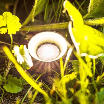 Preview: LED Solar Gartenstrahler mit 10 Bodenspots – Pflanzen- & Baumbeleuchtung – Warm-weisses Licht, IP44 wetterfest, 20 Lumen, 5.5m Gesamtlänge