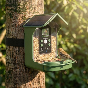 Vogel-Futterhaus mit Kamera und Solarpanel: Wildkamera zum Entdecken der Vogelwelt im Garten hautnah