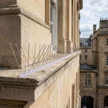 Preview: Effektive 10er-Set Taubenabwehr Spikes, 3-reihig Edelstahl, 5m - individuell anpassbar - Robuste Abwehr-Spitzen für optimalen Vogelschutz