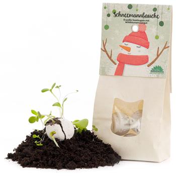 Einzigartige Schneemannbäuche: 8 Fantastische Samenbomben für eine Blühende, Wunderschöne Bienenwiese - Perfekt als Geschenk für Weihnachten