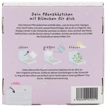 Preview: Wiesen-Margeriten Pflanzset 