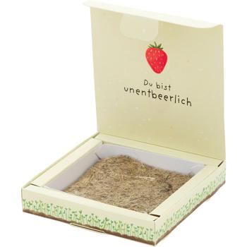 Preview: Süsses Erdbeeren-Set 