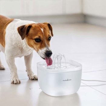 Preview: Trinkbrunnen für Hunde & Katzen, 2L, Ultra-Leise Pumpe, 4-fach Filter, LED-Licht, BPA-frei, Wasserautomat mit 360 Grad Wasserfall-Design, Katzenbrunnen 
