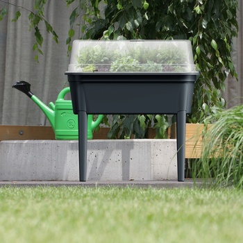 Preview: Kompaktes Gewächshaus Anthrazit 47L, Anzuchtstation mit Deckel & Beinen: Anzuchtbox, robust & tragbar für Pflanzen