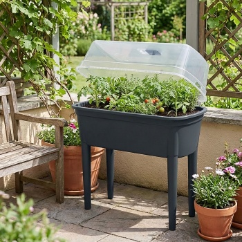 Preview: Kompaktes Gewächshaus Anthrazit 47L, Anzuchtstation mit Deckel & Beinen: Anzuchtbox, robust & tragbar für Pflanzen