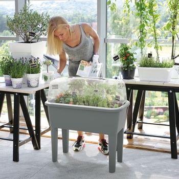 Preview: Praktisches Gewächshaus Anthrazit 52 Liter: Hochbeet mit Deckel und Belüftung, Anzuchtkasten für Outdoor - Stabil, Wetterfest & Rückenschonend