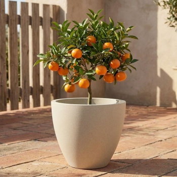 Moderner Pflanzkübel Rund Ø58cm in Sand, Blumentopf 86L aus Kunststoff für Innen & Aussen, Frostsicher & UV-Beständig, Leichtgewicht