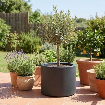 Preview: Moderner Blumentopf Rund Ø47cm in Anthrazit, Pflanzkübel 40L aus Kunststoff für Innen & Aussen, Frostsicher & UV-Beständig, Leichtgewicht