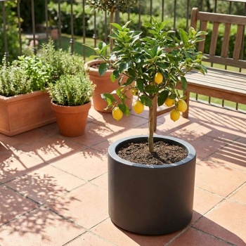 Moderner Blumentopf Rund Ø47cm in Anthrazit, Pflanzkübel 40L aus Kunststoff für Innen & Aussen, Frostsicher & UV-Beständig, Leichtgewicht