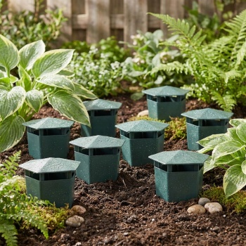Schneckenfalle 8er Set aus Kunststoff, ökologische Schneckenabwehr ohne Chemie, biologische Bierfalle mit Deckel für Garten und Beet, Grün