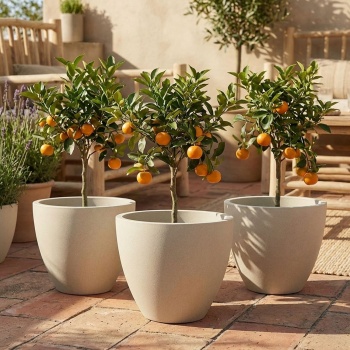 3er-Set Moderner Pflanzkübel Rund Ø58cm in Sand, Blumentopf 86L aus Kunststoff für Innen & Aussen, Frostsicher & UV-Beständig, Leichtgewicht