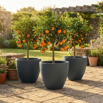 3er-Set Blumentopf Rund 58cm, Graphit – Grosses Pflanzgefäss für Aussen und Innen – Moderne Optik & Edles Design für Garten und Terrasse