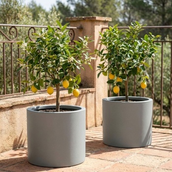 2er-Set Moderner Blumentopf Rund Ø47cm in Beton-Grau, Pflanzkübel 40L aus Kunststoff für Innen & Aussen, Frostsicher & UV-Beständig, Leichtgewicht