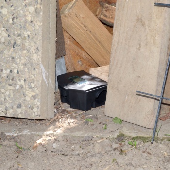 Preview: Sichere Köderbox: Abschliessbare Köderstation für Mäuse & Ratten. Robuste Fallenbox aus Kunststoff mit Sichtfenster - Hygienisch 