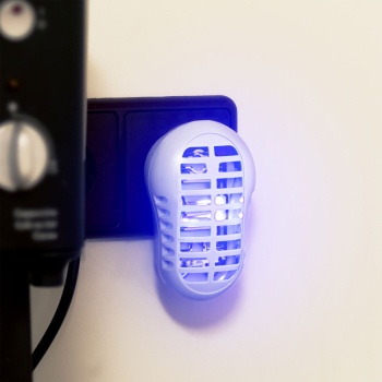 Preview: Elektrische Fruchtfliegenfalle UV Stecker – Effektiver Obstfliegen Vernichter, Insektenlampe für Küche & Innenraum - Insektizidfrei