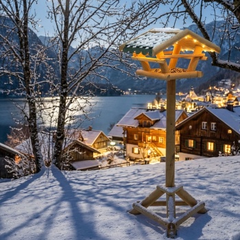 Vogelfutterhaus mit LED Beleuchtung & Timer, H120 cm – Futterstelle aus Holz  für Wildvögel im Garten, auf Balkon & Terrasse