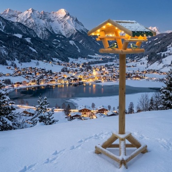 Preview: Vogelfutterhaus mit LED Beleuchtung & Timer, H120 cm – Futterstelle aus Holz  für Wildvögel im Garten, auf Balkon & Terrasse