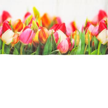 Preview: Handtuch Tulpenspiel - Weiches Baumwoll-Frotteehandtuch 50x100 cm - Saugfähig, hautfreundlich, 380 g/m² - Waschbar 60°C - Für Bad & Gäste-WC