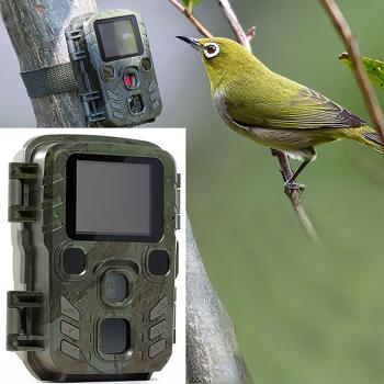 Mini-Wildkamera Full HD 1080p - Jagdkamera mit PIR-Sensor, 0.6s Auslösezeit, Nachtsicht & 1.9" LCD - IP56 Outdoor-Überwachung