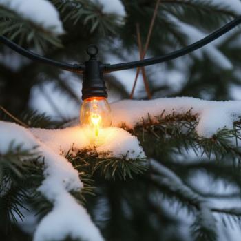 Preview: 2er Stimmungsvolle Lichterkette mit 10 Flammen-Glühbirnen, 5,1m – IP44, täuschend echter Flammeneffekt für Outdoor & Indoor 