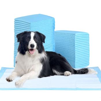 Preview: XXL-Spar Pack Trainingspads für Hunde (500 Stück): 5-lagige, extra saugfähige Welpenunterlagen, auslaufsicher, 60x90 cm - saugstark u. hygienisch