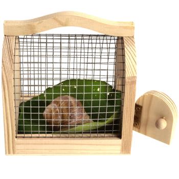 Preview: Insektenkasten Holz-Draht Naturbox für Kinder zum Sammeln & Beobachten - Pädagogisches Kinderspielzeug mit Holzgriff - 11x7,5x10 cm - Umweltfreundlich