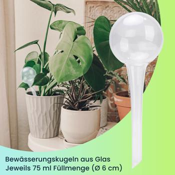 Preview: 4er-Set Wassersparende Pflanzen Bewässerungskugeln aus Glas, Ø 6 x H 15 cm, Giesskugeln transparent, ideal für Zuhause, Büro und Ferien
