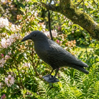 Preview: Wetterfester Rabe in schwarz zur Vogelabwehr – 35 x 19 x 13 cm – Schutz vor Tauben & Spatzen, u.v.m.–langlebig & effektiv für Garten, Balkon & Dach