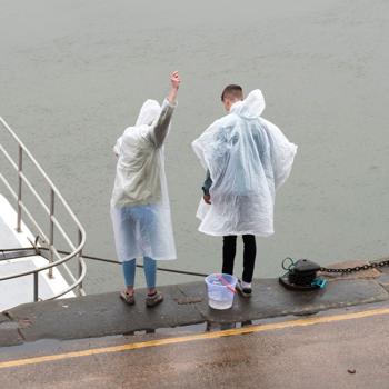 Preview: 16er-Set Praktischer Notfall-Regenponcho mit Kapuze: Transparenter, wasserdichter Regenschutz für die ganze Familie (120 cm) 