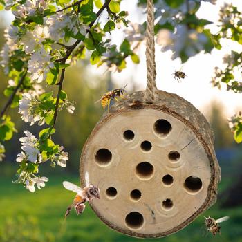2er-Set Insektenhotel zum Aufhängen - Schutz & Nisthilfe für Wildbienen - 10x9 cm aus naturbelassenem Holz - Sicher vor Fressfeinden & Frost