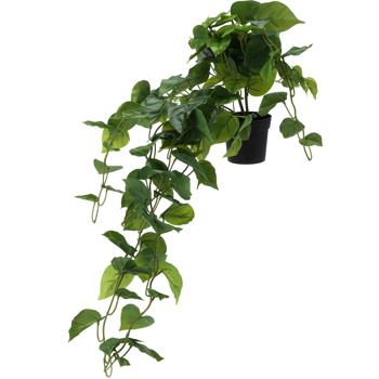 Preview: Künstliche Hängepflanze 80 cm, täuschend echt - Sofort mehr Grün - Pflegeleichte Deko für Wände - auch für dunkle Ecken