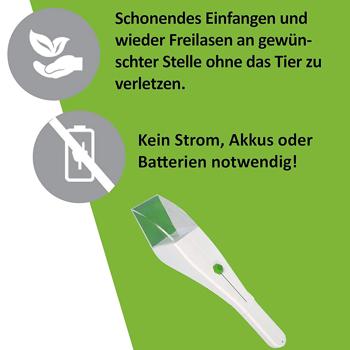 Preview: Insektenfänger XL – schonende Lebendfalle für Spinnen & Käfer (7x9 cm) – tierfreundlich, hygienisch & einfach zu bedienen – ideal für Haus & Garten