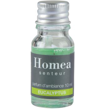 Preview: Duftöl Eukalyptus 10ml - Wohlfühlduft für Ihr Wellnesszuhause - belebende Aromen - für Potpourri & Aromabrenner - entspannt & erfrischt