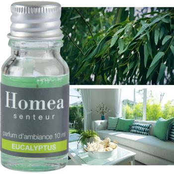 Duftöl Eukalyptus 10ml - Wohlfühlduft für Ihr Wellnesszuhause - belebende Aromen - für Potpourri & Aromabrenner - entspannt & erfrischt