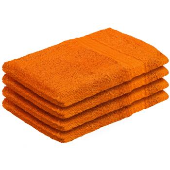 4er-Set Waschhandschuhe 100% Baumwolle - Terra Waschlappen mit Schlaufe - flauschig, saugstark, 60°C waschbar - 21x16cm, 500g/m²