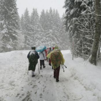 Preview: 16er-Set Notfall Regenponcho gelb - Schützt vor Regen & hält trocken - Mit Kapuze & Ärmeln - PE-Kunststoff - Ideal für Wandern & Festivals