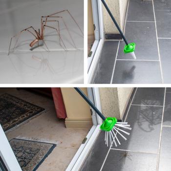 Preview: Sicherer Spinnenfang mit extra langem Greifarm (65 cm): Insektenfänger zum Lebendfang – Spinnen & Insekten schonend entfernen