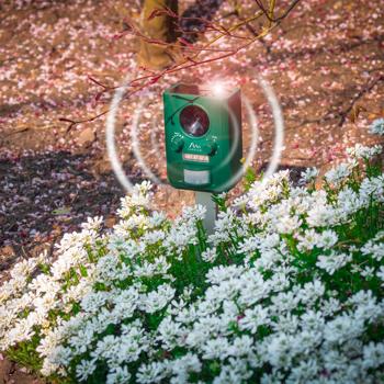 Preview: Universal Solar Tiervertreiber mit Ultraschall und Blitzlicht, 150 m² Reichweite, vertreibt Wild- und Haustiere, grün, sicherer Schutz