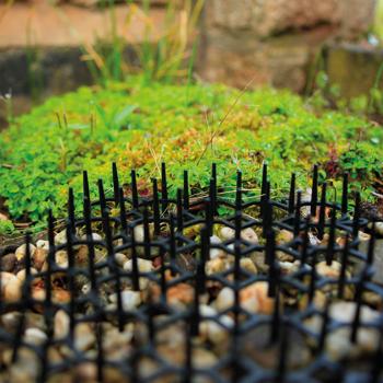 Preview: Dornengitter mit Duftschalen 6er Set - effektiver Schutz für Beete, Garten & Motorraum vor Katzen, Hunden, Mardern, Schnecken - 50x15x3 cm Bodengitter