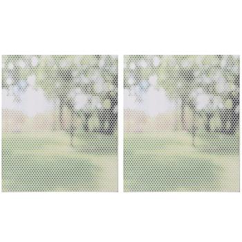 2er-Set Fliegenschutzgitter für Fenster - Zuschneidbar & einfach montierbar - Effektiver Schutz vor Insekten - Weiss, 150x250 cm Polyester-Mückennetz