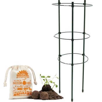 Pflanzenstütze Set & Samenbomben für Garten - Pflanzset mit 8 Saatbomben für bunte Blumen - Perfekt für einen blühenden Garten