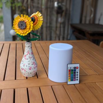 Preview: 2er-Set Kabellose LED Tischlampe mit Farbsteuerung & Fernbedienung: Batteriebetrieb, ideal als Nachtlicht, Akzentlicht oder Campinglampe