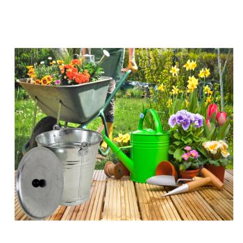 Preview: Zinkeimer mit Deckel und Henkel - 12 L Fassungsvermögen - Aus verzinktem Metall - Zum Transport, Bepflanzen & zur Aufbewahrung von Kartoffeln/Zwiebeln