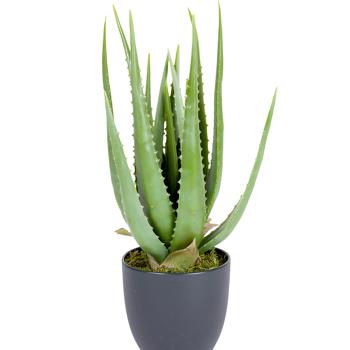 Künstliche Aloe Vera-Pflanze in schwarzem Kunststofftopf, Höhe ca. 45 cm