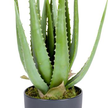 Preview: Künstliche Aloe Vera-Pflanze in schwarzem Kunststofftopf, Höhe ca. 45 cm